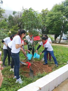 20180916113127_hv0frmd1do