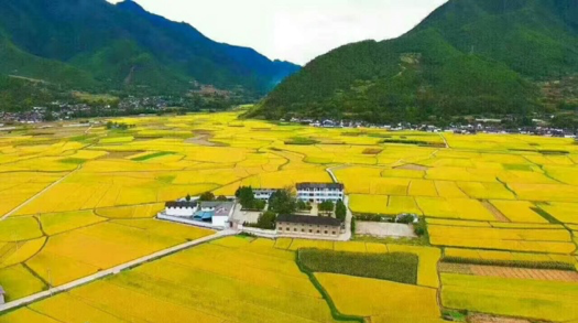 云顶集团(中国区)官方网站